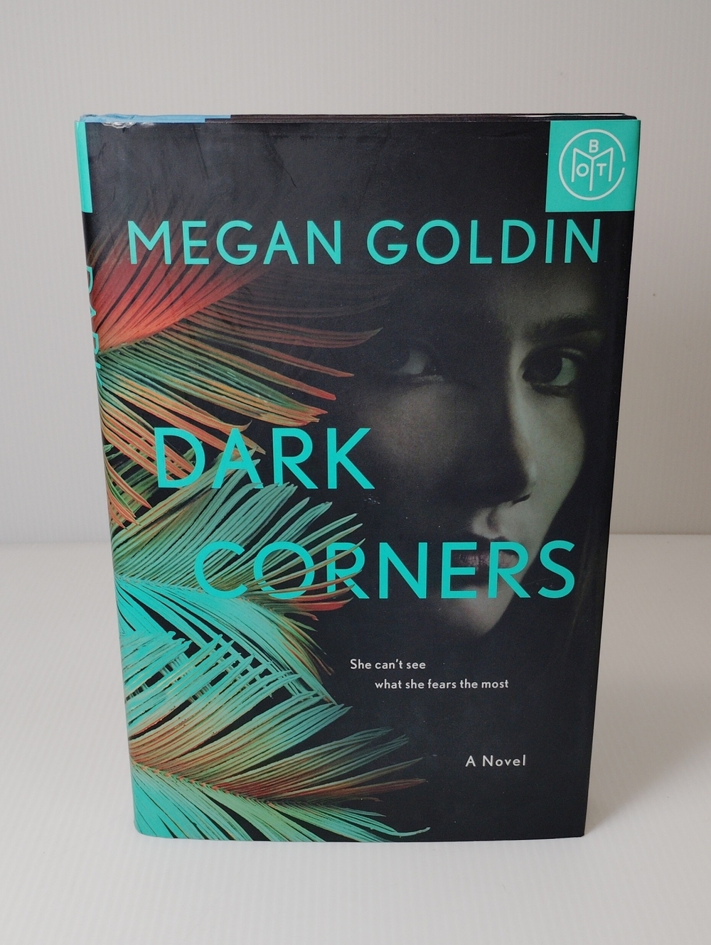 3 For $8 Megan Goldin Dark Corners - Teal & Black Hardcover